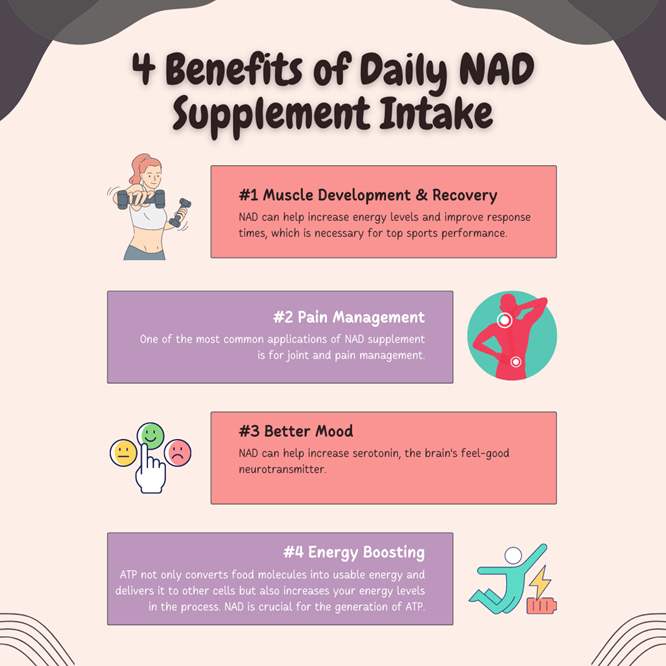 4 Benefits of Daily NAD Supplement Intake