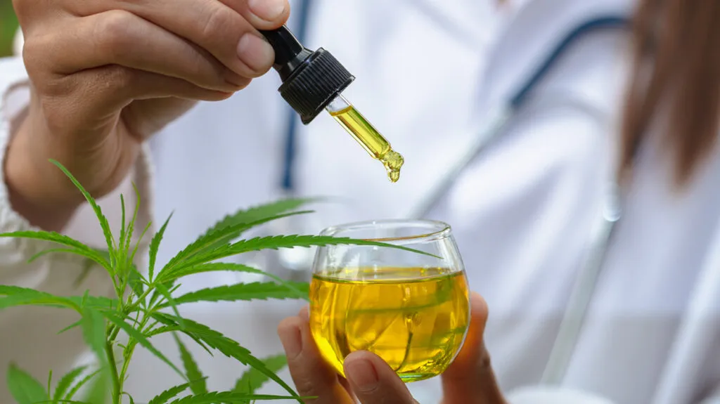 What are CBD and CBN and its source?