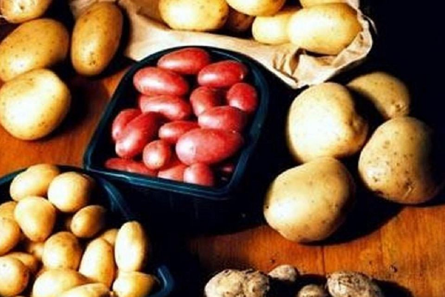 How Red Potatoes Contribute To A Well-Rounded Diet?