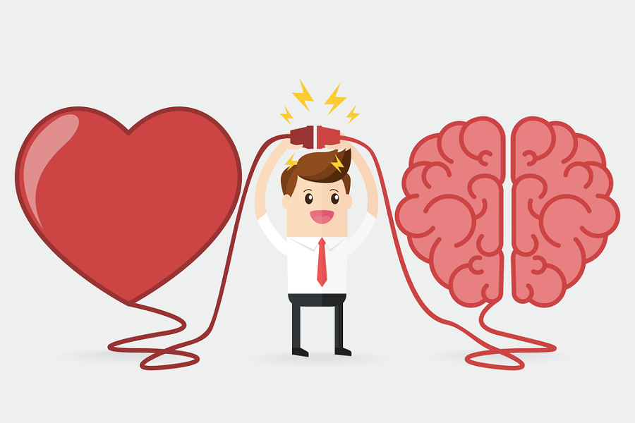 Have a Brain or Love Someone Who Does? This Course is for You