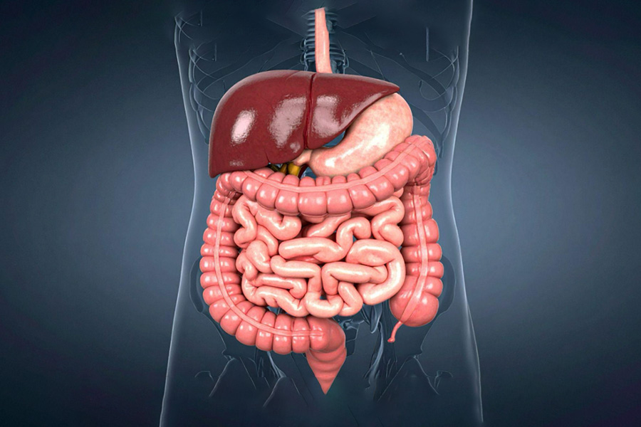 Managing Chronic Gut and Liver Conditions: How a Digestive & Liver Centre Provides Structured Care